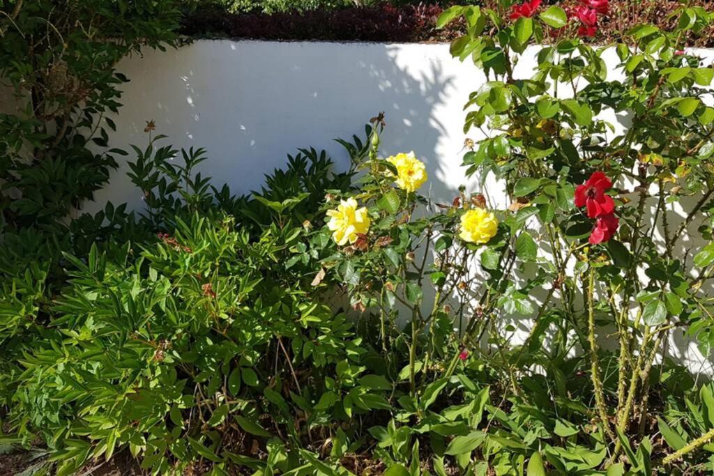 Vila Le Clos De Chacha Carly Exteriér fotografie